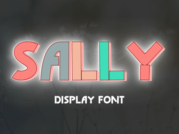 Sally: Redefining Personal Identity Through Distinctive Typography