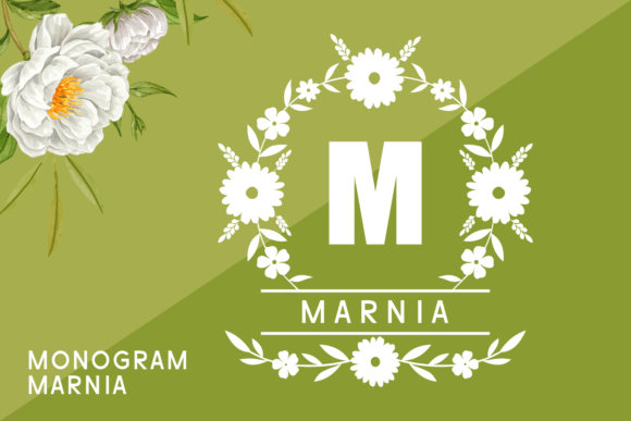 Unlocking the Potential of Marnia: A Guide to Elegant Typography